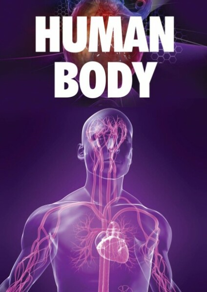 Human Body - FLAT